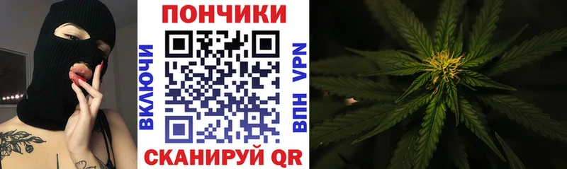 Наркотические вещества Судогда Амфетамин  Канабис  mega онион  ГАШИШ  СОЛЬ  Меф мяу мяу 