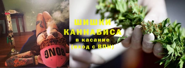 ПСИЛОЦИБИНОВЫЕ ГРИБЫ Инта