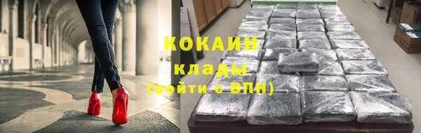 ПСИЛОЦИБИНОВЫЕ ГРИБЫ Инта
