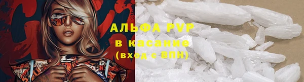 ПСИЛОЦИБИНОВЫЕ ГРИБЫ Инта