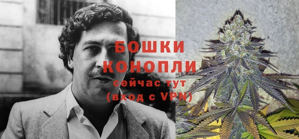 ПСИЛОЦИБИНОВЫЕ ГРИБЫ Инта