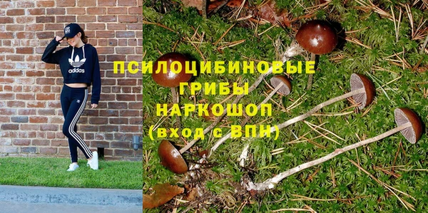 не бодяженный Семёнов