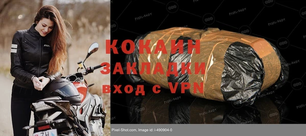 ПСИЛОЦИБИНОВЫЕ ГРИБЫ Инта