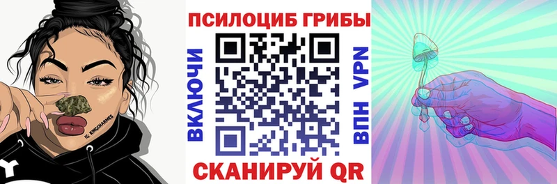 наркотики  KRAKEN ТОР  Галлюциногенные грибы Magic Shrooms  Судогда 